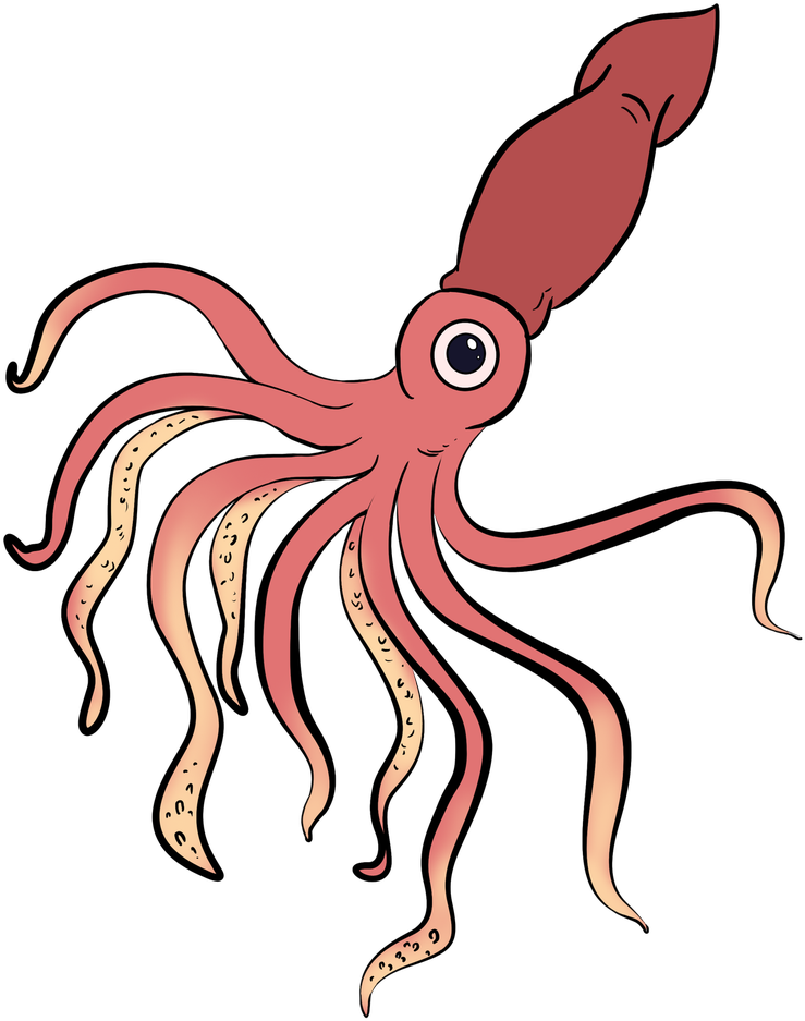 Easy Drawing Guides On Twitter - Easy Squid Drawing (848x1200), Png Download