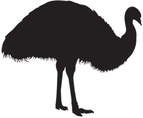 Svg Royalty Free Library Animal Silhouettes The Arts - Emu (555x399), Png Download
