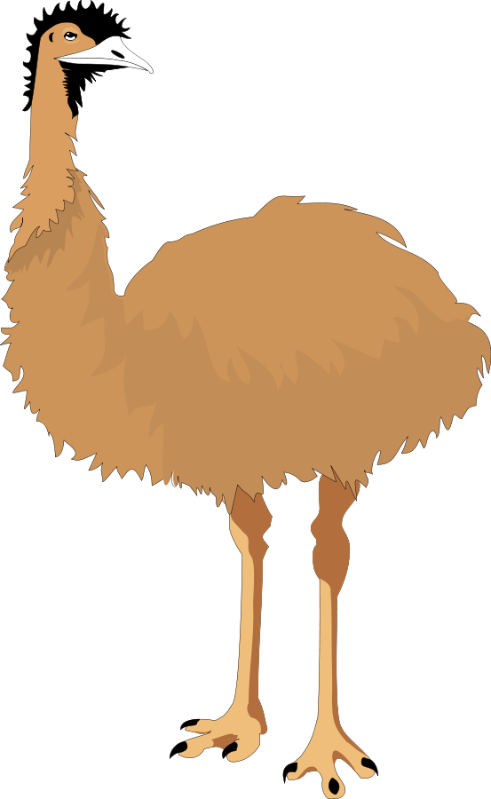 Emu Clipart Ostrich - Эму Пнг (553x900), Png Download