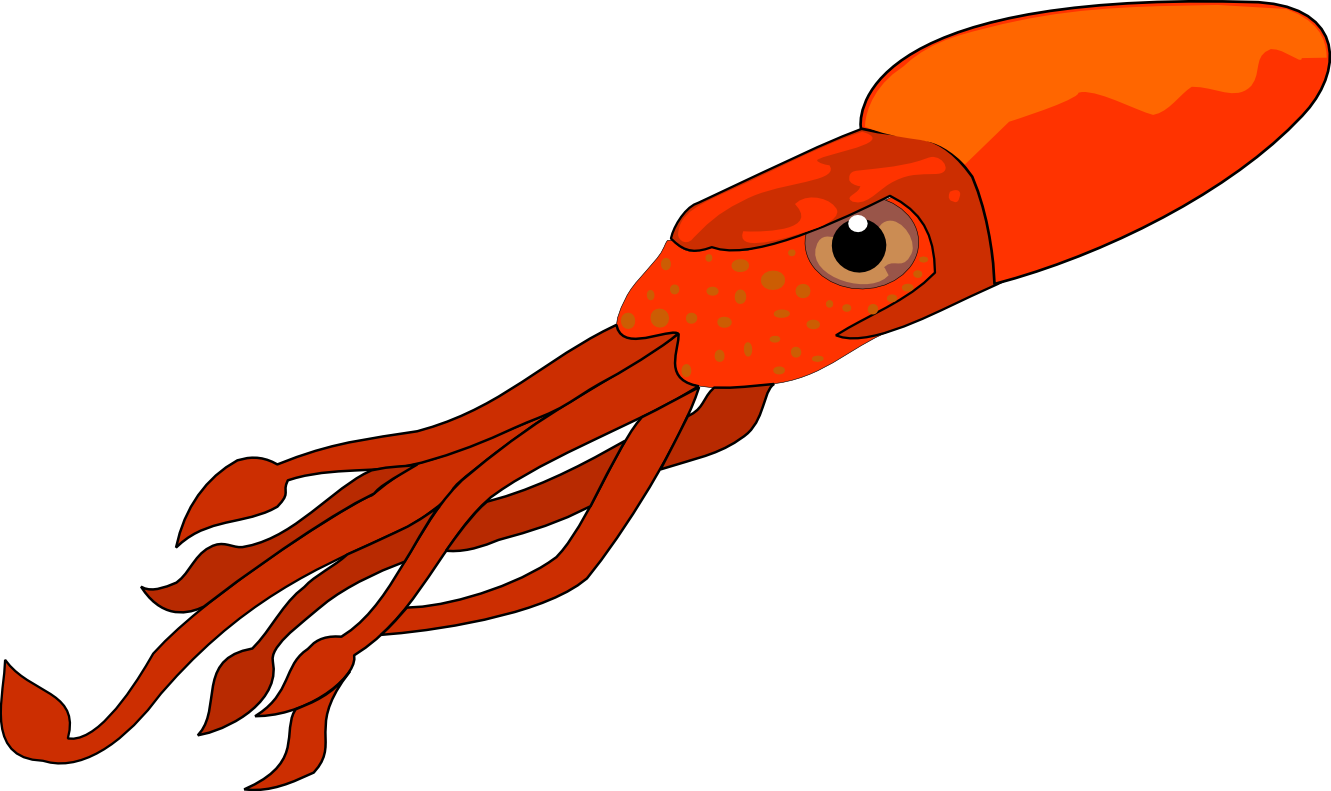 Cartoon Drawing At Getdrawings - Squid Clip Art (1331x791), Png Download
