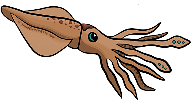 Cartoon Squid Png - Cartoon Picture Of Squid (650x356), Png Download