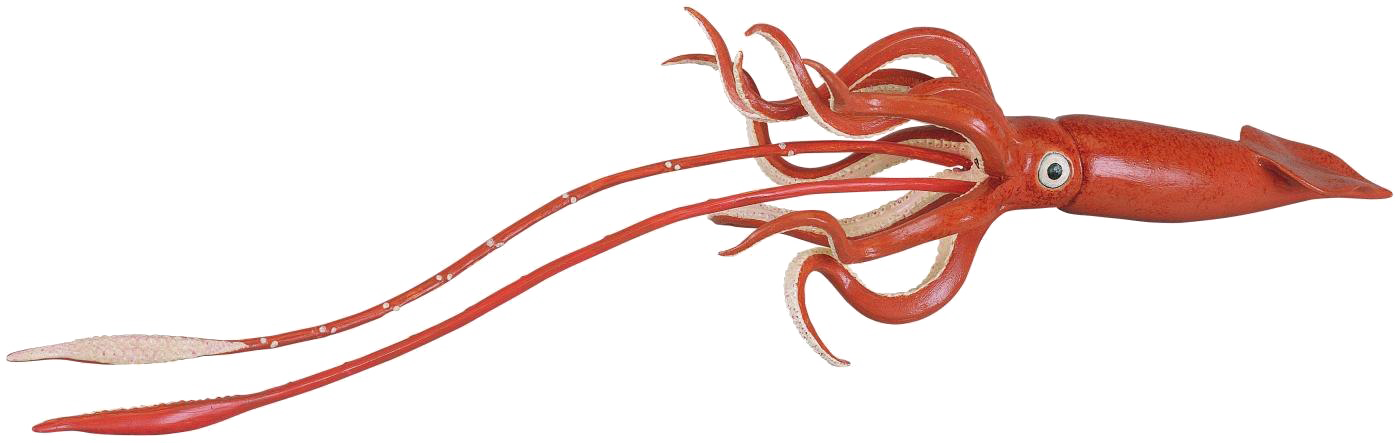 Giant Squid Png Hd - Giant Squid Png (1400x443), Png Download
