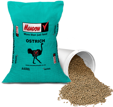 Ostrich Diets - Ostrich Breeder - Dietary Supplement (400x400), Png Download