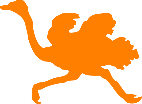 Small - Orange Ostrich (600x438), Png Download
