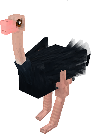 Male Ostrich Mo Creatures (429x440), Png Download