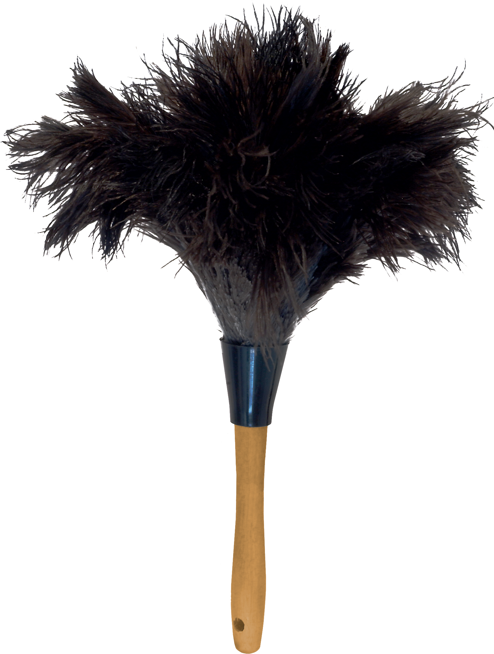 Ostrich Feather Png - Feather Duster (1707x2392), Png Download