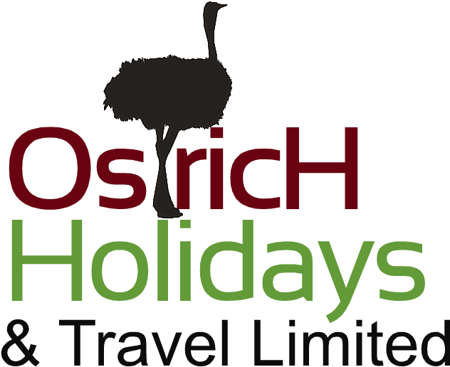 Ostrich Holidays And Travel Limited - Jd Geotechnical Services Pty Ltd (646x546), Png Download