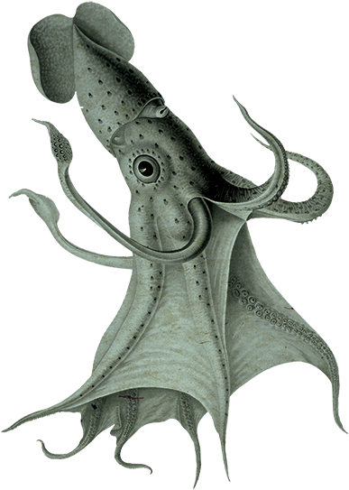 Rusty Willoughby (401x559), Png Download