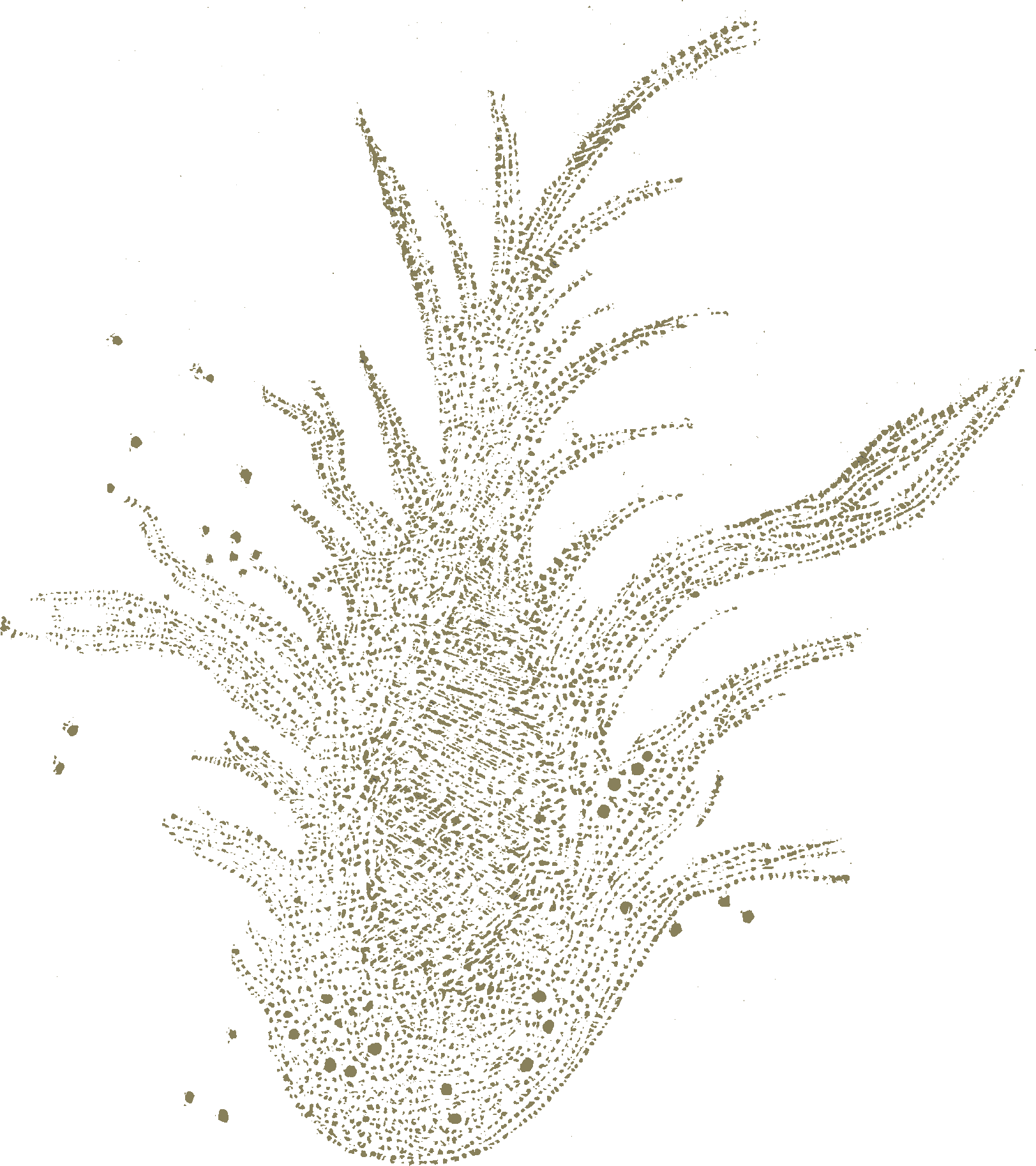 Carroll Phantasmagoria Crab Nebula - Sketch (1623x1826), Png Download
