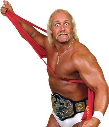 Then In 1984 And 1985 You Channel Surf And See This - Wwf - The Greatest Wrestling Stars Of The '80's (385x448), Png Download