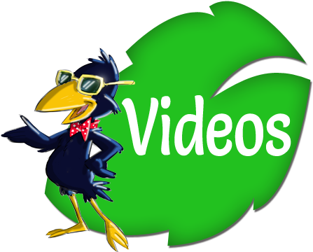 Lights - Leaf (517x515), Png Download