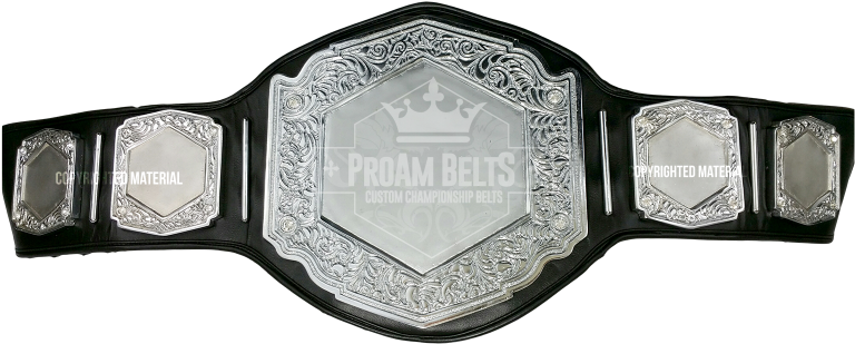 Vicious Dc Heavy Silver - Wrestling Belt Empty (800x347), Png Download
