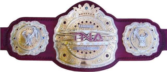Tna Championship Belt Professional Wrestling, Wrestling - Tna Legends Championship (640x480), Png Download
