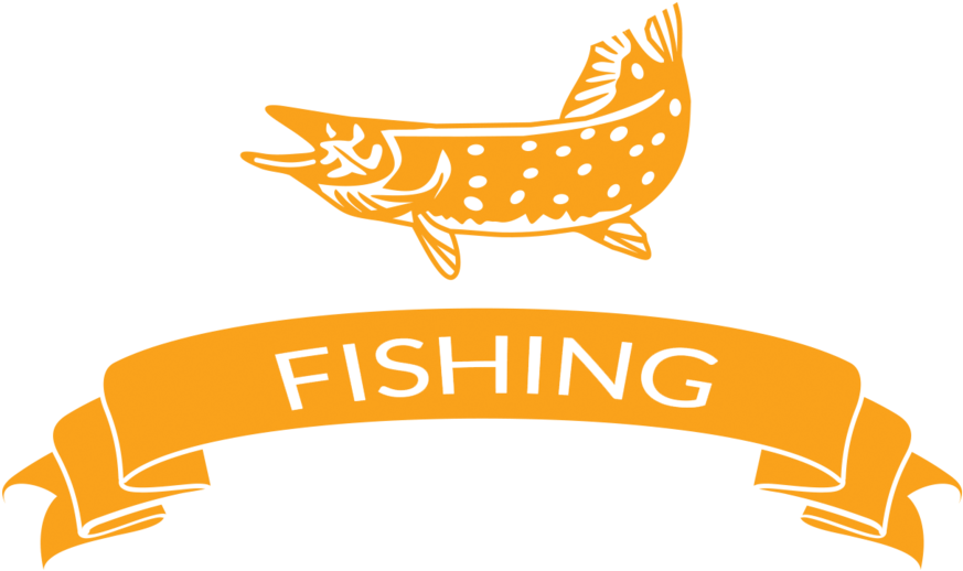 Fishing - Illustration (1000x787), Png Download