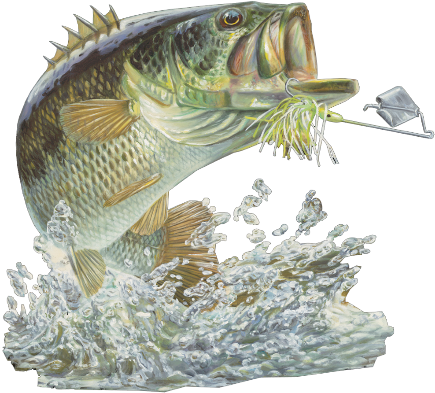 Bass Fishing Club (900x900), Png Download