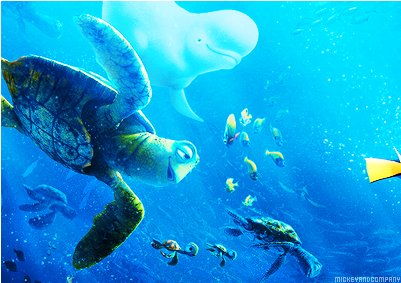 Finding Nemo - Finding Nemo And Finding Dory Comparison (500x282), Png Download