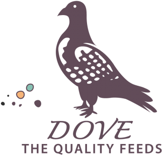 Handcrafts Dove Logo, Ornament, Logo, Decorative Png - Logo (360x360), Png Download