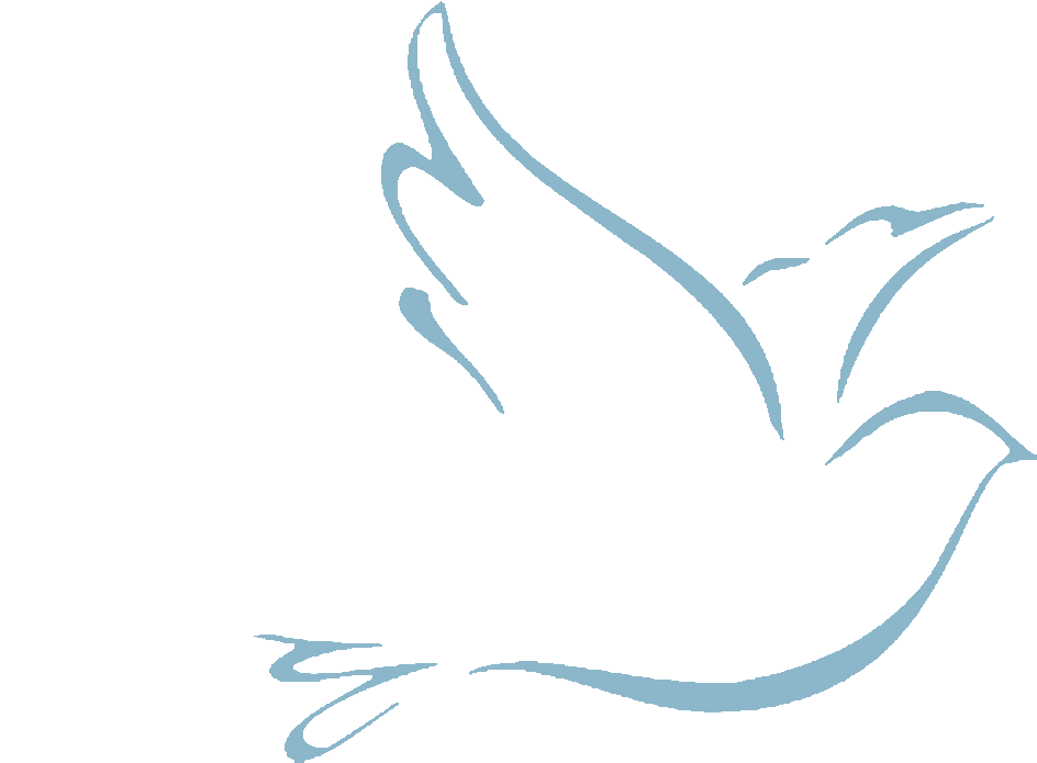 Landing Page - Drawing Of A Bird Peace (1026x733), Png Download