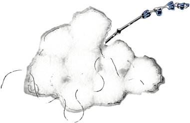Dove Logo2 (1000x647), Png Download