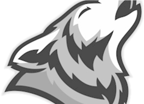 Coyote Cardiff Touch - Carolina Park Elementary School (507x350), Png Download