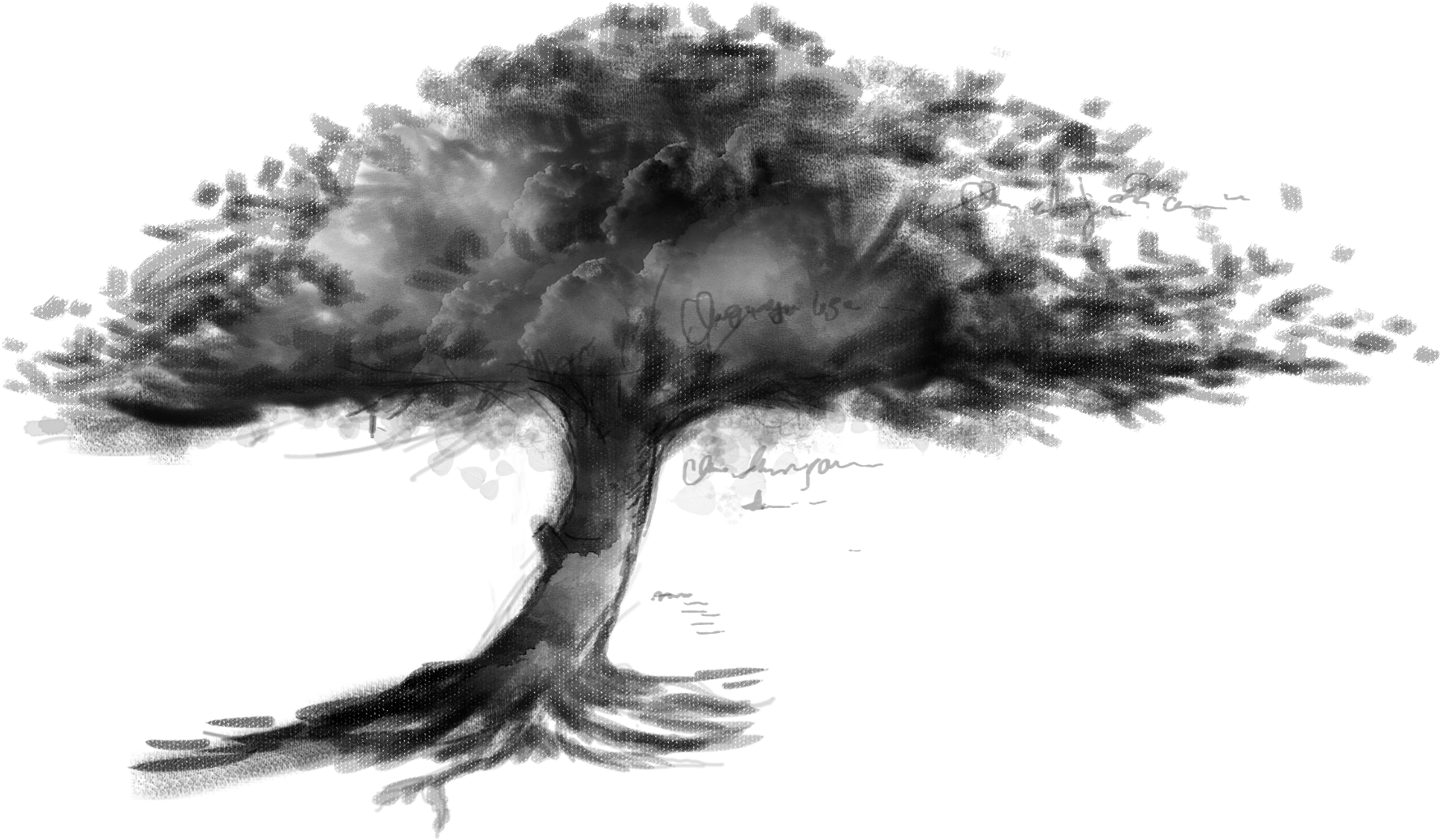 Picture Library Tree Sketch Transprent Png Free Download - Dibujo De Un Arbol Con Sombra (1920x1080), Png Download