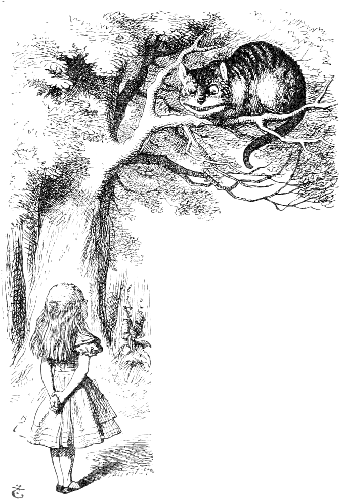 Clip Transparent Stock Off Topic Alicecatsmall - Brief History Of The Smile [book] (687x1011), Png Download