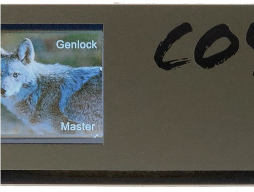 Coyote Q3g Playback Server - Coyote (500x500), Png Download