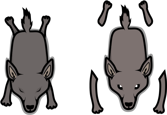 Coyote (776x516), Png Download