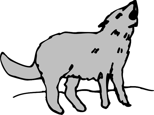 Gray, Cartoon, Art, Animal, Coyote, Howling - Cartoon Pictures Of Coyotes (640x478), Png Download
