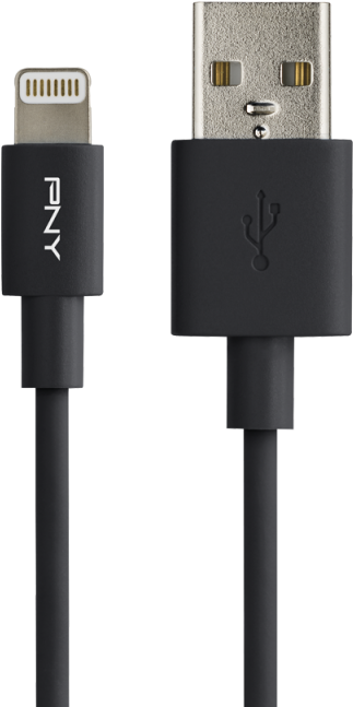 /data/products/article Large/882 20170203113217 - Pny Charge & Sync - Lightning Cable - Black - 1.2 (800x800), Png Download