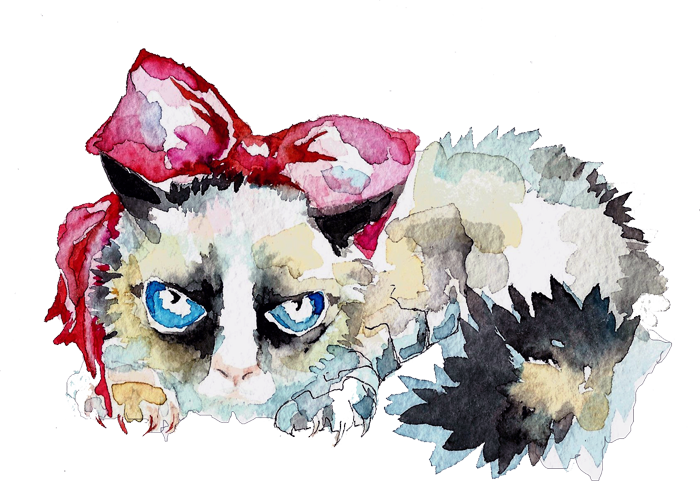 Когда Придет Вчерашний День - Kitten (700x481), Png Download