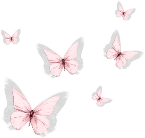 Pink Geranium, Butterfly Party, Butterfly Kisses, Butterflies, - Pieridae (600x525), Png Download