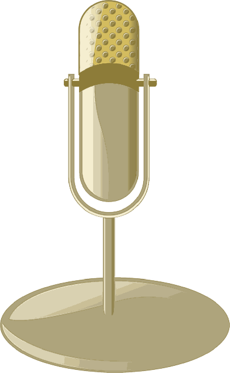 Mb Image/png - Microphone Clip Art (800x1296), Png Download