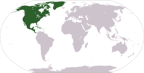 Locationnorthamerica - World Map Blank With Borders (500x254), Png Download