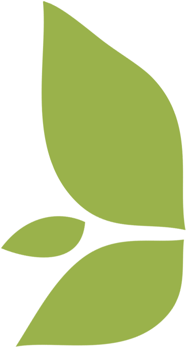 Leaf Icon City Ma - Maid Service (700x700), Png Download