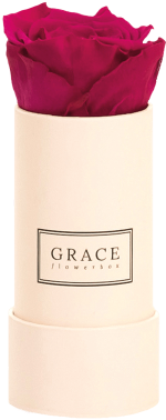 Garden Roses (290x600), Png Download