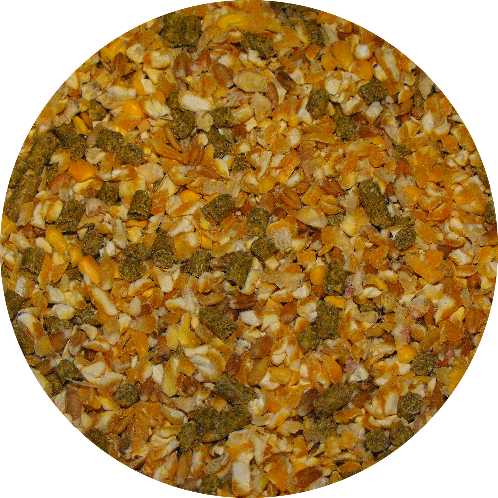 Seed Circle Game Bird Blend - Gravel (1729x1729), Png Download