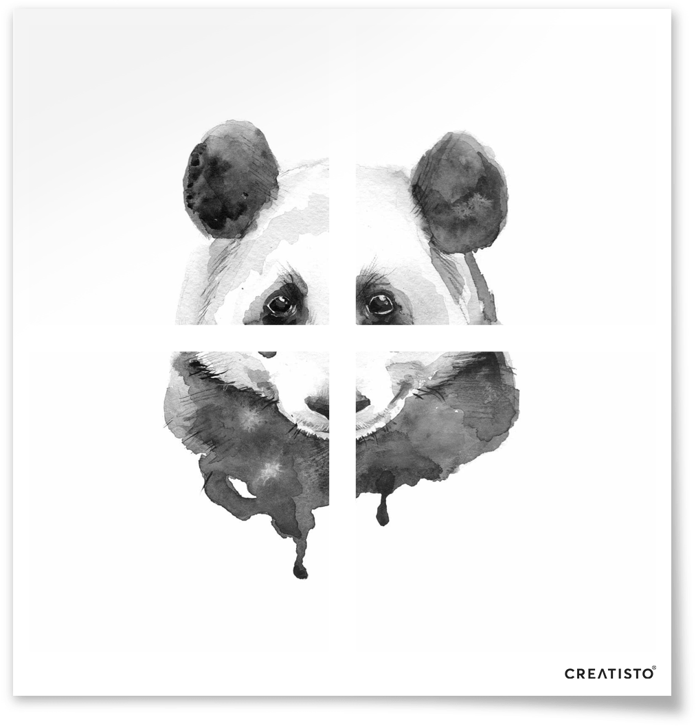 Black And White Pic Of Panda (1500x1125), Png Download
