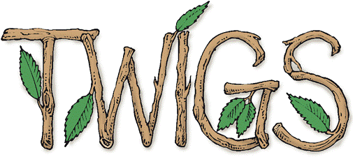 Twigs Clip Art (508x240), Png Download