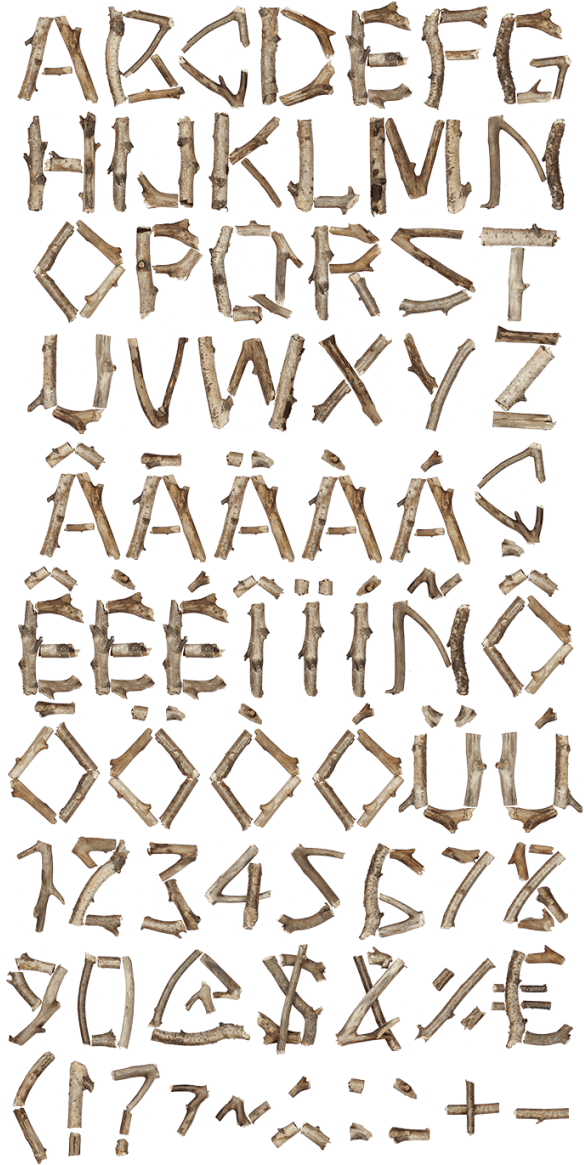 Dry Twigs Wood Font - Twig Font (595x1183), Png Download