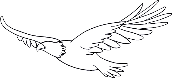 Eagle Wings Drawing Sketch - Drawing (678x600), Png Download