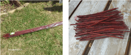 Branch-twigs - Grass (575x270), Png Download