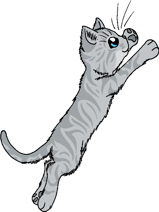 Gray Sky Before Dawn - Warrior Cats Grey Cats (561x741), Png Download
