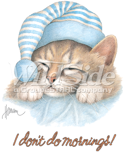 Don't Do Mornings Cat With Hat - Cat With Sleep Cap (407x498), Png Download