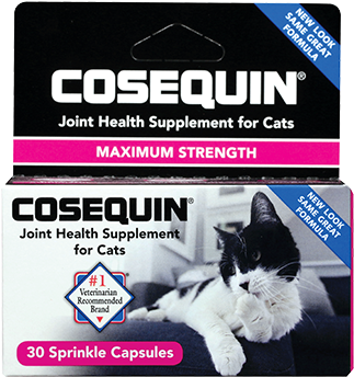Container Of Cosequin Standard Strength - Cosequin Joint Health Supplement, For Cats, Maximum (350x500), Png Download