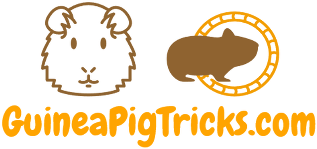 Guinea Pig Tricks - Guinea Pig Logo (716x358), Png Download