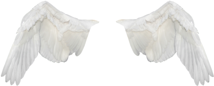 Wings,wings Ave,flight,fly,white Wings,png,freedom - Alas Blancas Png (500x333), Png Download
