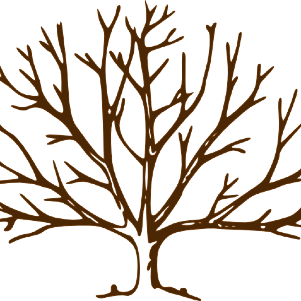 Fall Clipart Bare Fall Tree - Draw A Tree With Snow (1024x1024), Png Download