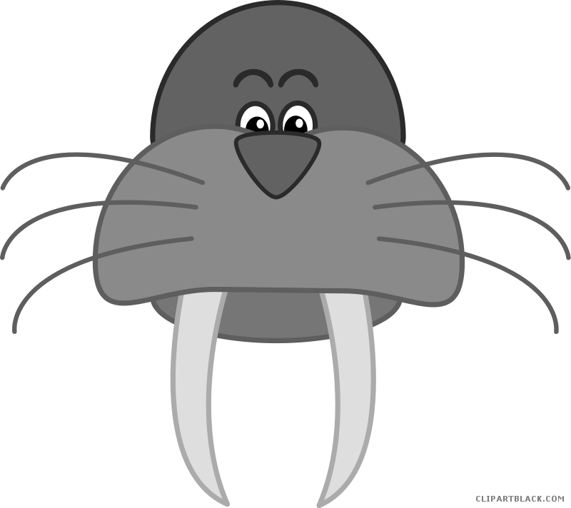 Banner Library Clipartblack Com Animal Free Black White - Cartoon Walrus Mugs (800x712), Png Download