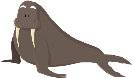 Walrus Png Hd - Walrus (500x500), Png Download